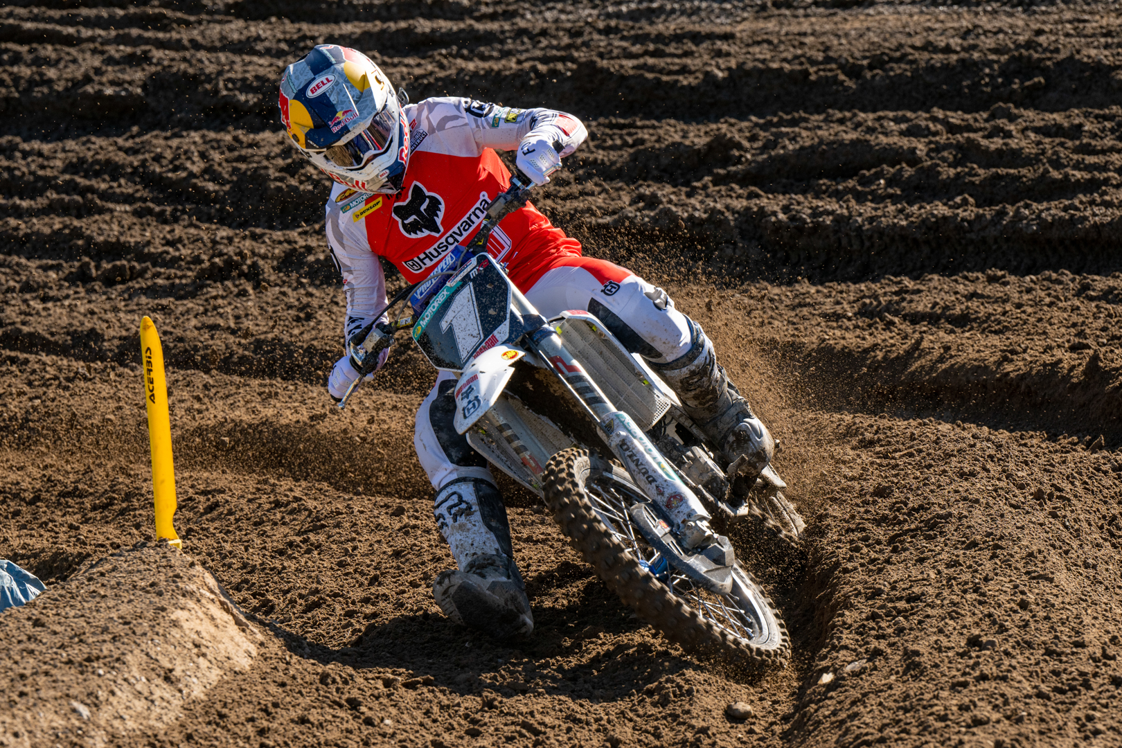194007_DeWolf_Sweden_2025_Fullspectrum_BS_DSC_2397