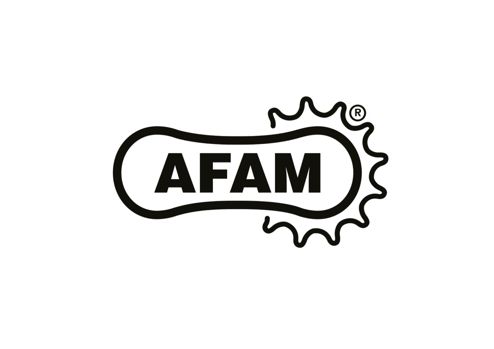 afam.pdf-3